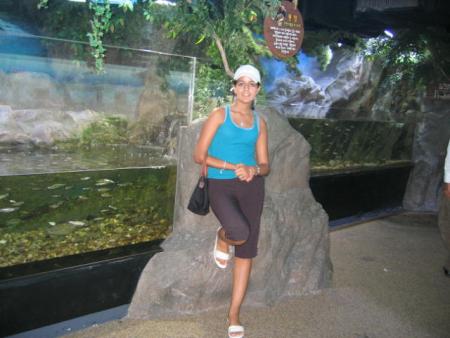 i was in an aquarium